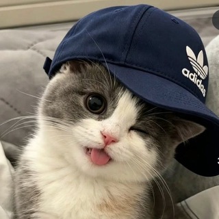 Telegram profile photo for 〄꯭🥀҉ཻ༘🍃҉꯭࿆𝐘𝐀𝐆𝐎𝐒𝐇꯭꯭❲꯭꯭🥺❳꯭🥀