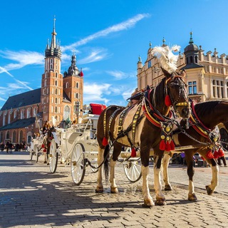 Telegram profile photo for Polish News