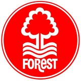 Telegram profile photo for «Ноттингем Форест» — величие лесников.