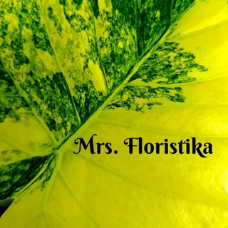 Telegram profile photo for Mrs. Floristika