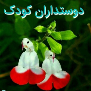 Telegram profile photo for دوستداران کودک ،،کشوری 😍(اولیا، مربیان _ آموزگاران،مدیران مراکز غیرانتفاعی)