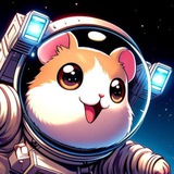 Telegram profile photo for Koinuz Crypto