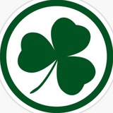 Telegram profile photo for shamrock ☘️