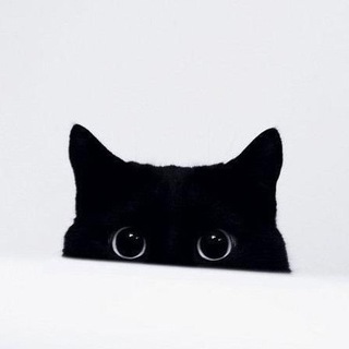 Telegram profile photo for ___〆(・∀・)