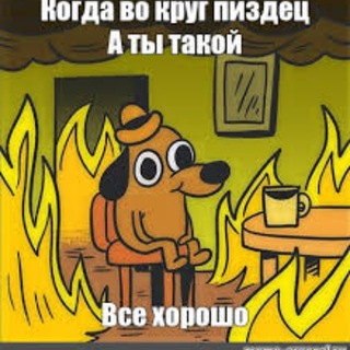 Telegram profile photo for Ежедневная Трагедия