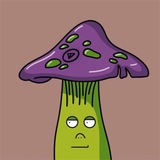 Telegram profile photo for Ton Mushrooms NFT