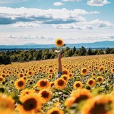 Telegram profile photo for تبلیغ در کانال کشاورزان
