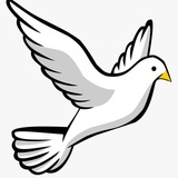 Telegram profile photo for NMPI TALANTLARÍ
