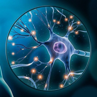 Telegram profile photo for Neural Digest