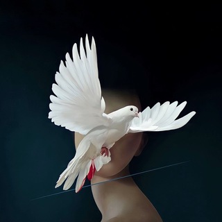 Telegram profile photo for رآنْ