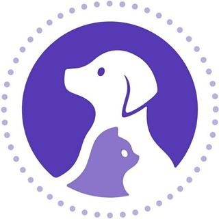 Telegram profile photo for Чат - TAÑBA - Учет животных (KEZEKTE.KZ)