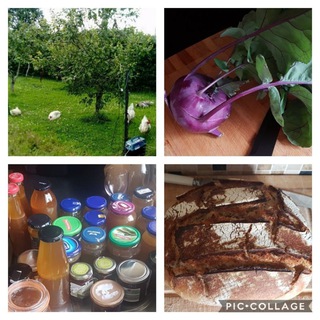 Telegram profile photo for Self Sufficiency Ireland