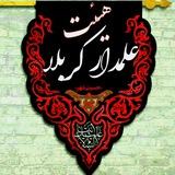 Telegram profile photo for «~هیئت علمدار کربلا~»