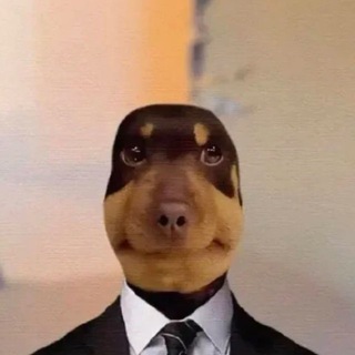 Telegram profile photo for Mollusca