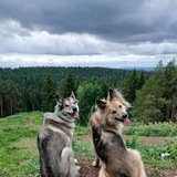 Telegram profile photo for двойное безумие
