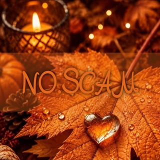 Telegram profile photo for NO.SCAM | HGR
