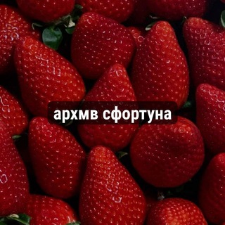 Telegram profile photo for архив SFORTUNA