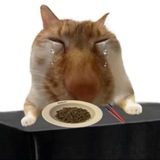 Telegram profile photo for Apasih @steecu 😂🤣🤣🤣