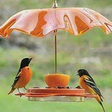 Telegram profile photo for کانالِ شعر کوتاه ِ عاشقانه