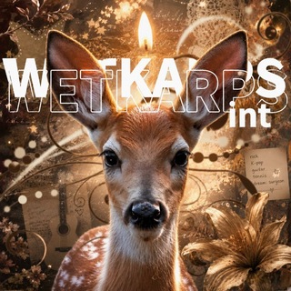 Telegram profile photo for WETKARPS🔒