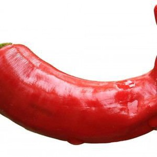 Telegram profile photo for ITPepper