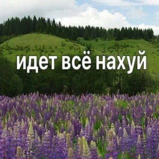 Telegram profile photo for Идия Шрауд