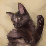 Telegram profile photo for Doodles of Lecho