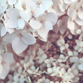 Telegram profile photo for Λesthetic░Room (ト雨嵐)