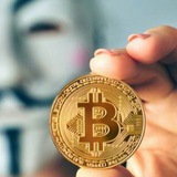 Telegram profile photo for SIGNAL NEWS