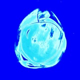 Telegram profile photo for груш нет