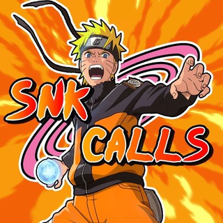 Telegram profile photo for SNK Portal