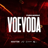 Telegram profile photo for VOEVODA🇷🇺