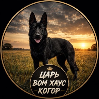 Telegram profile photo for Очень приятно, Царь