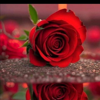 Telegram profile photo for السعي في إصلاح الحياة الزوجية