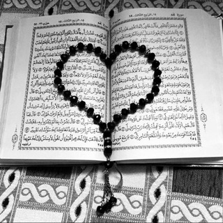 Telegram profile photo for القرآن الكريم