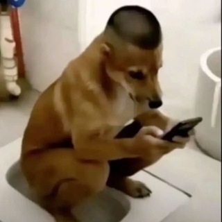 Telegram profile photo for круглые кружки