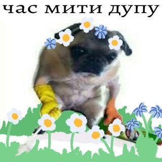 Telegram profile photo for Шо задали на фізику?