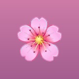 Telegram profile photo for files