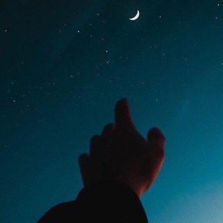Telegram profile photo for نوڤمبر.