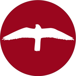 Telegram profile photo for ДАО Русь: вход