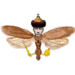 Telegram profile photo for Жест Доброй «Моли»