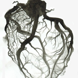 Telegram profile photo for Endovascular.team