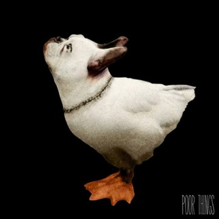 Telegram profile photo for xrgv.fm