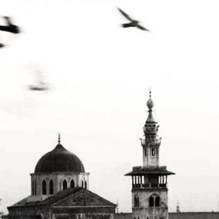 Telegram profile photo for الفرقان