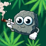 Telegram profile photo for $STONED | Verification DE