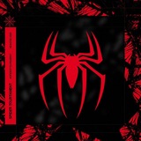 Telegram profile photo for Spider tournament