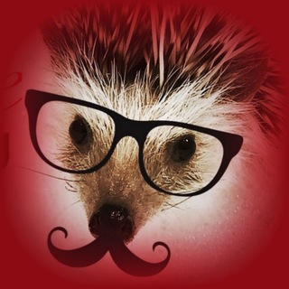 Telegram profile photo for Hedgehog_tar