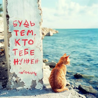 Telegram group profile photo for Рубцовский чат 🐈⬛