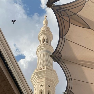 Telegram profile photo for بَـوح