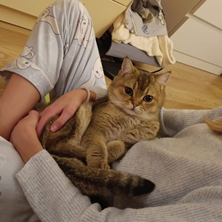 Telegram profile photo for 🐈𝑹𝒊𝒄𝒉𝒊𝒏𝒂 𝒍𝒂𝒛𝒆𝒚𝒌𝒂🐈